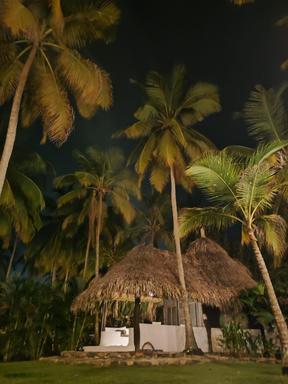 Hotel Casalina Palomino Exterior foto